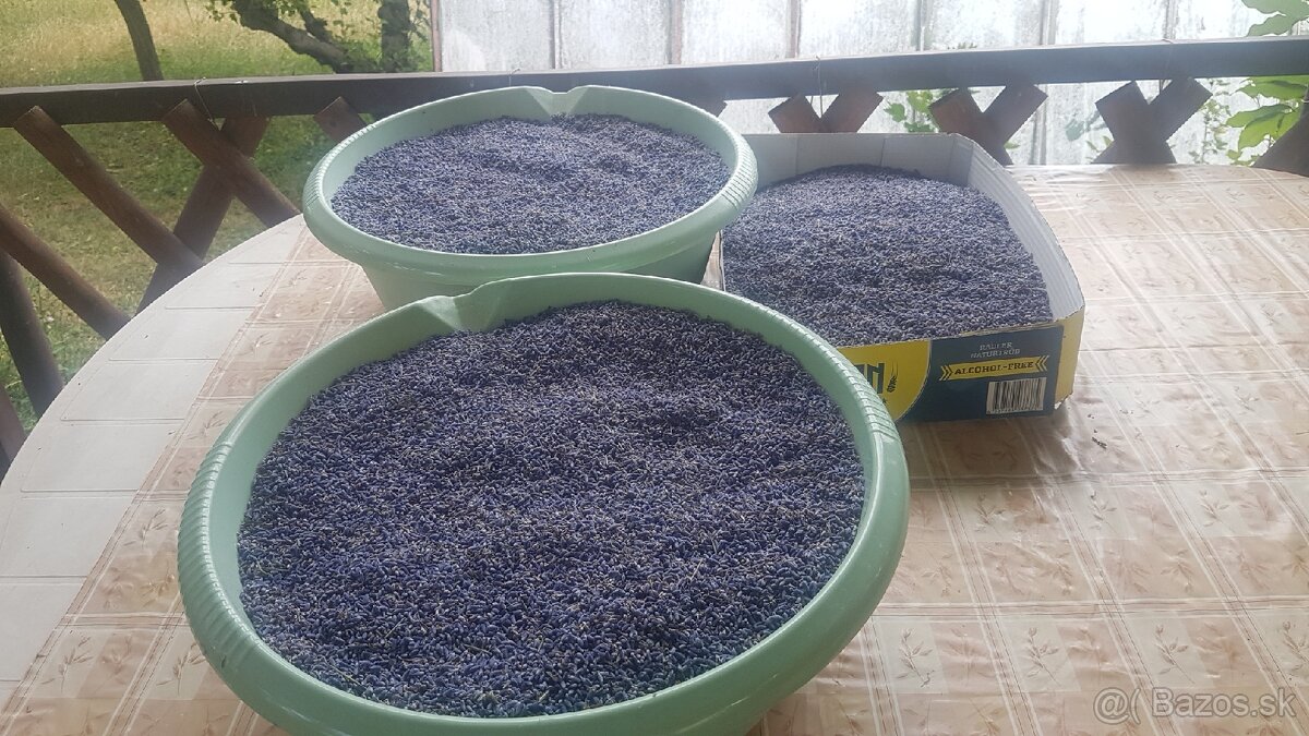 Predám levanduľu na čaj cena 15€ kg