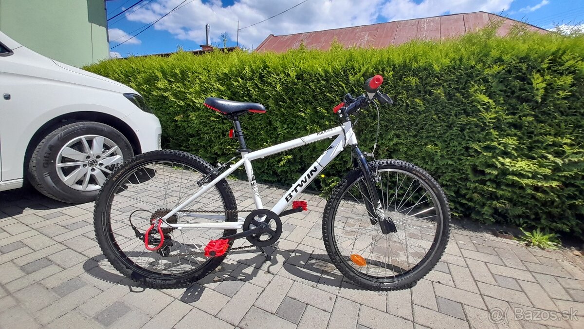 B Twin 24"