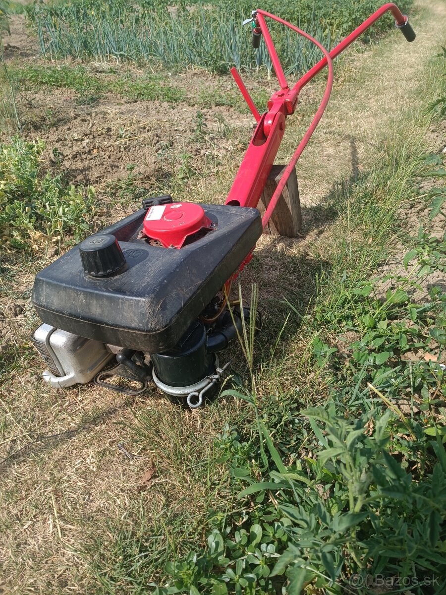 Motor Terra Vari