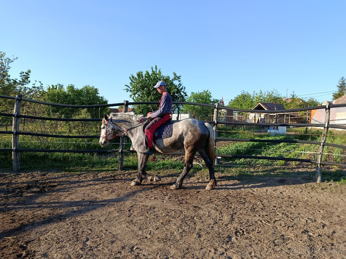 Kobyla