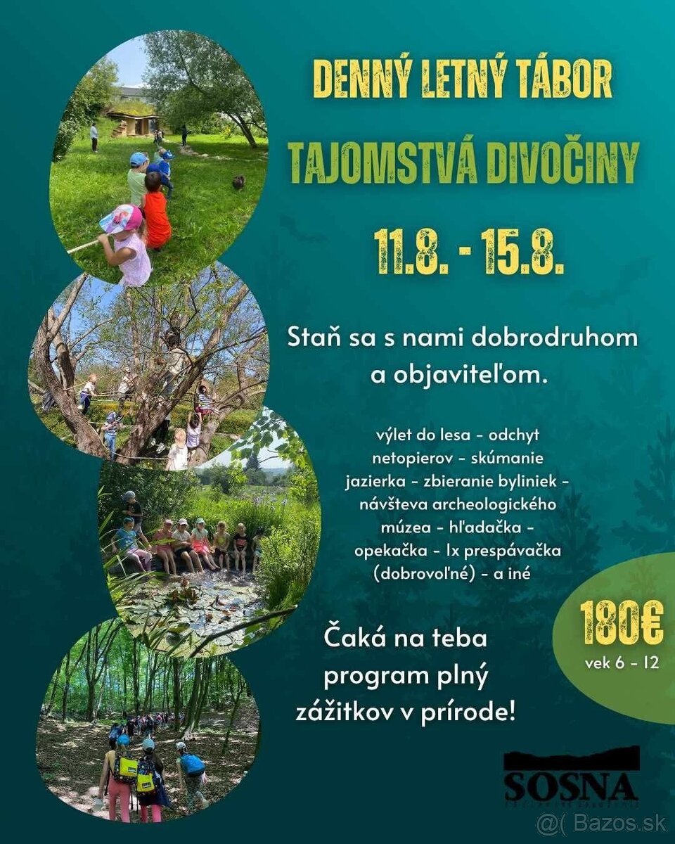 🌲🦇 DENNÝ LETNÝ TÁBOR – TAJOMSTVÁ DIVOČINY 🗺️🔥