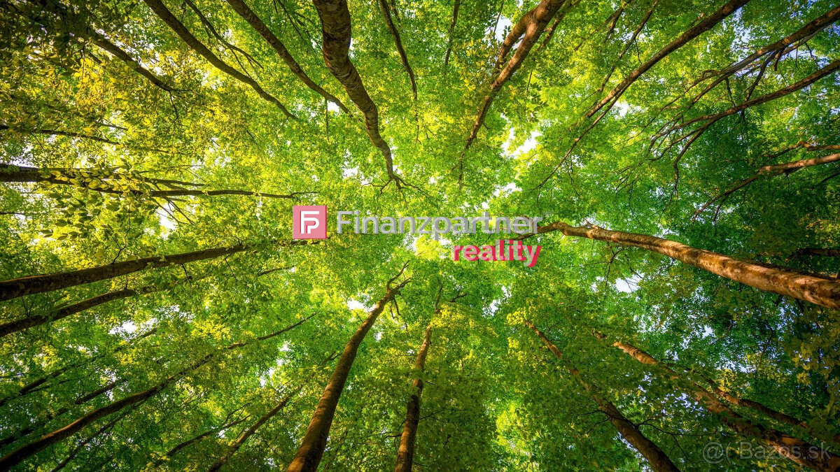 Na predaj lesný pozemok o rozlohe 30 ha cena 0,75 €/m2