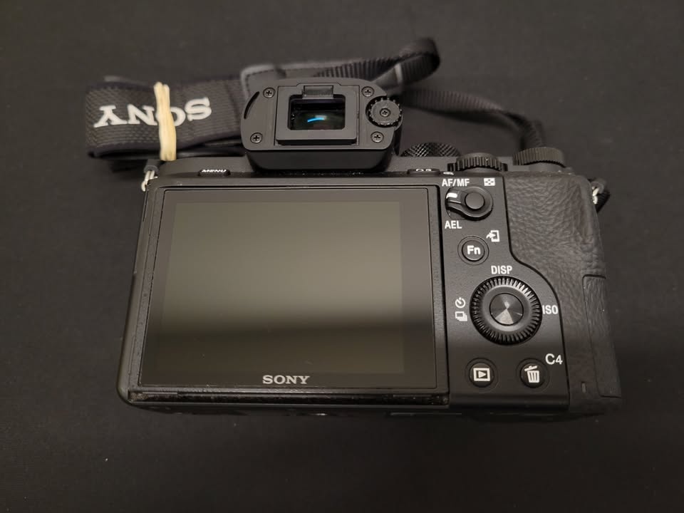 Sony a7II + FE 28-60mm