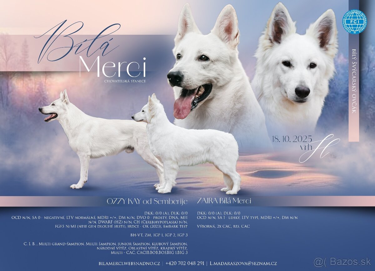 Biely švajčiarsky ovčiak , s PP