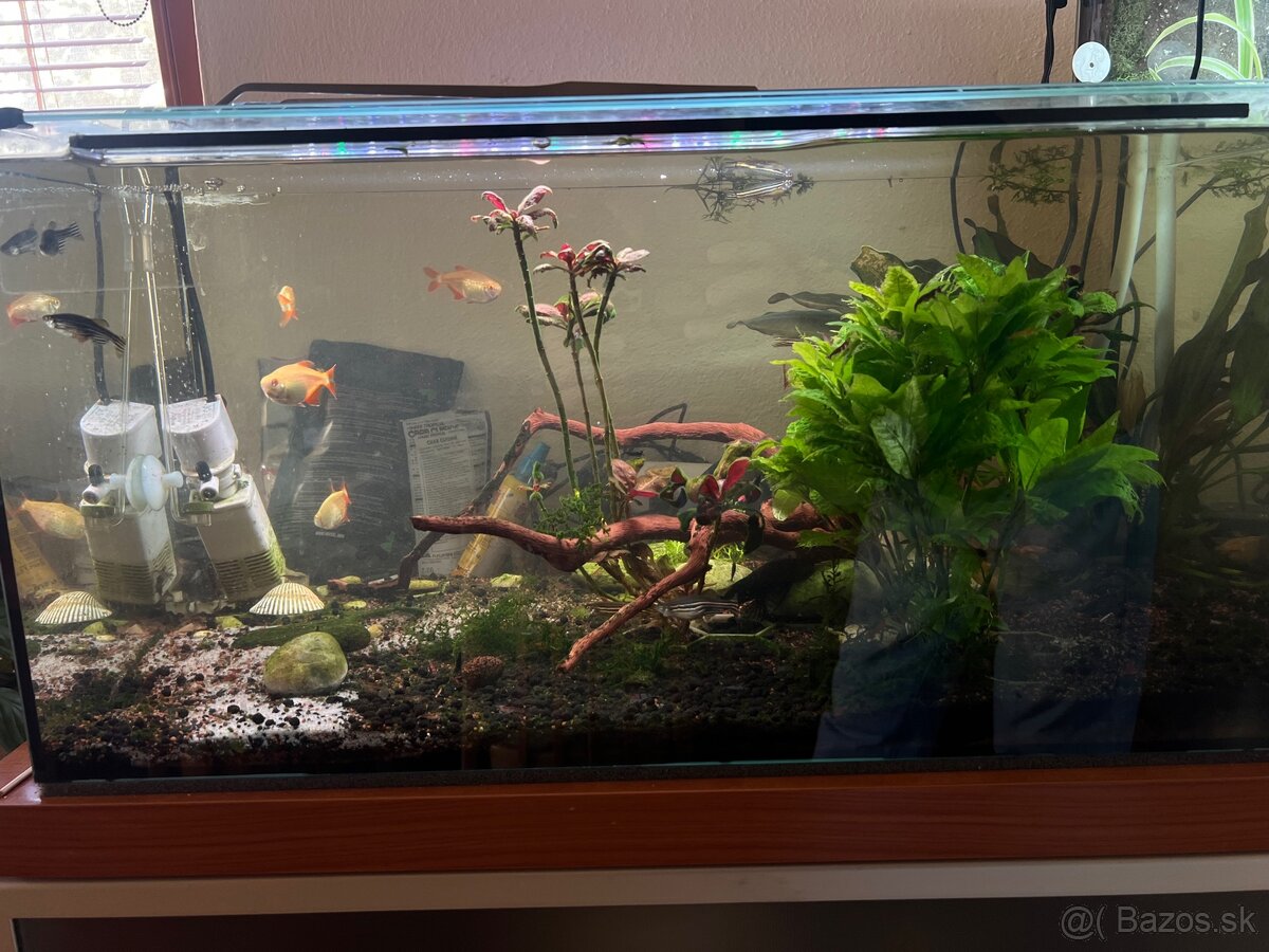 Zabehnuté Akvárium 60x30x30 cm (54l)