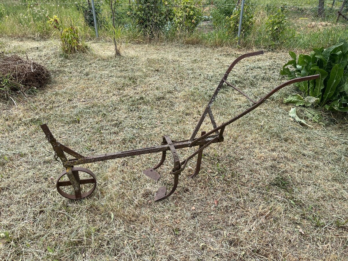 Kônska motika