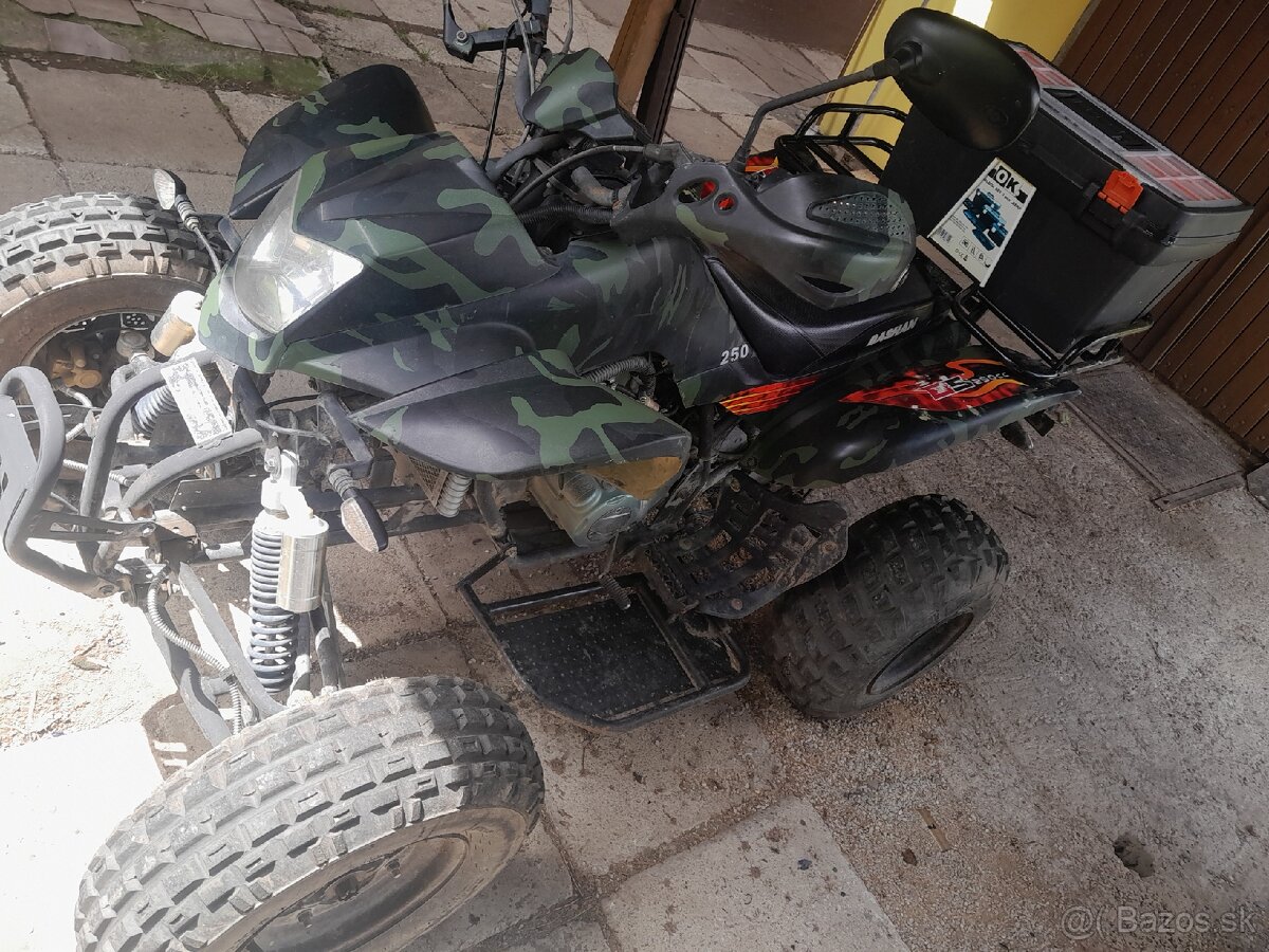 Štvorkolka Bashan BS250S - 11B