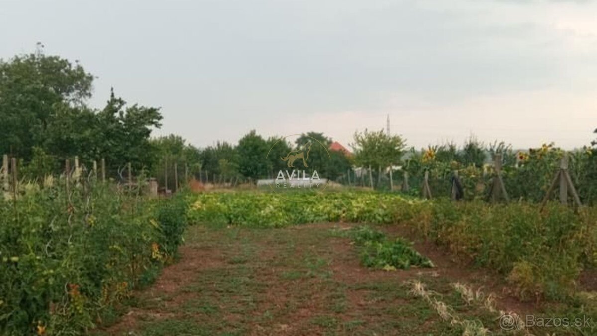 NA PREDAJ: stavebný pozemok 1962m2 s menším RD - Šoporňa