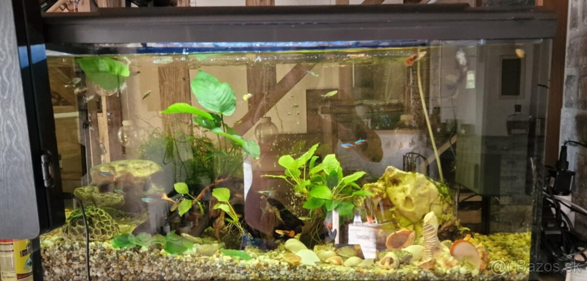Predam akvarium
