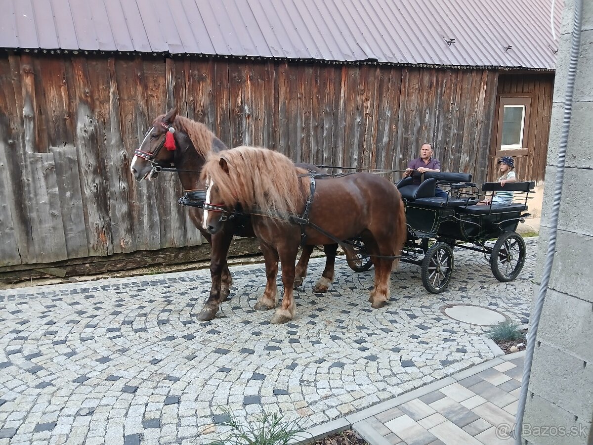 Predám ťažneho koňa.