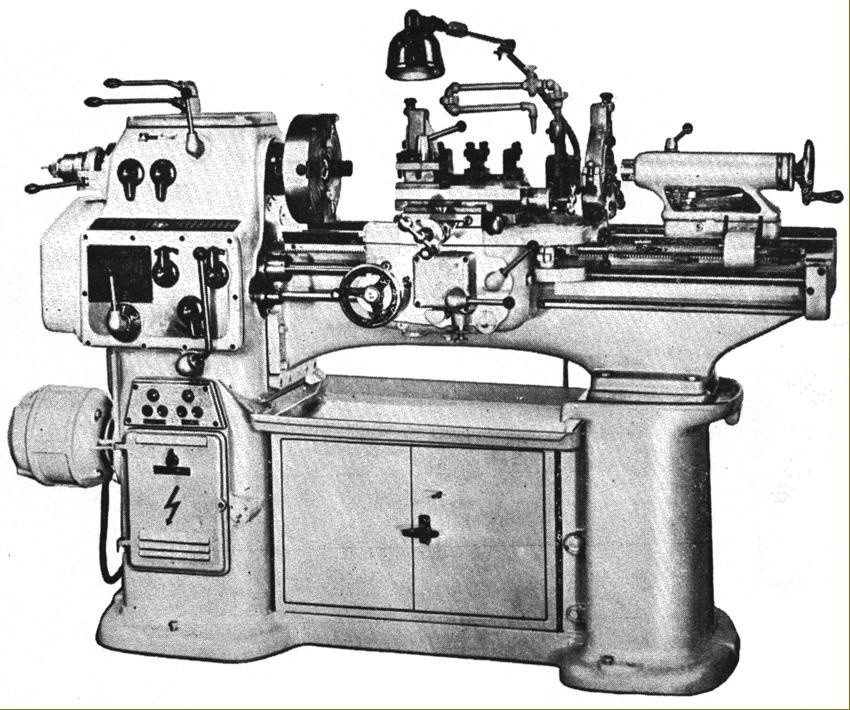 sustruh S28 zebrak konik