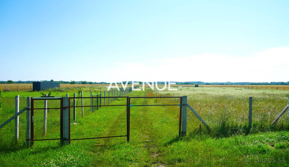 AVENUE | rovinatý pozemok v katastri mestskej časti Čuňovo.