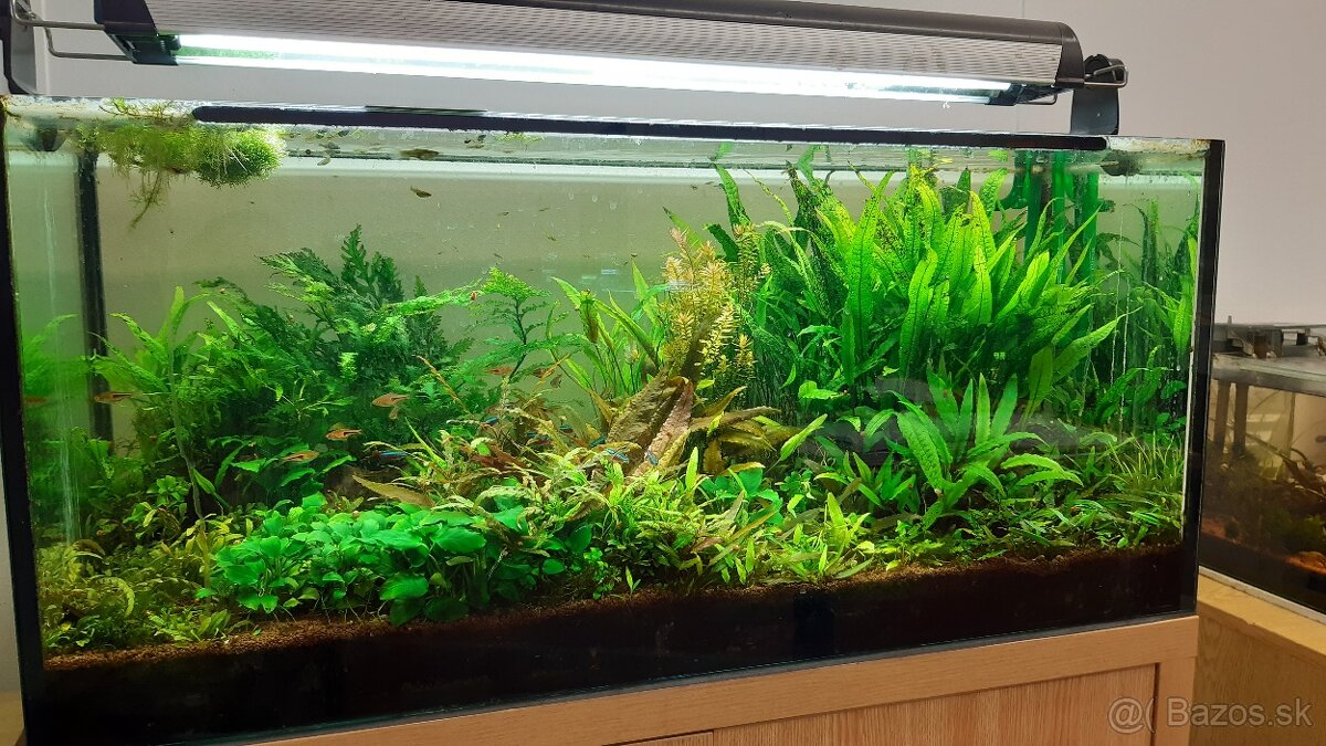 Darujem akvarijný substrát JBL Manado
