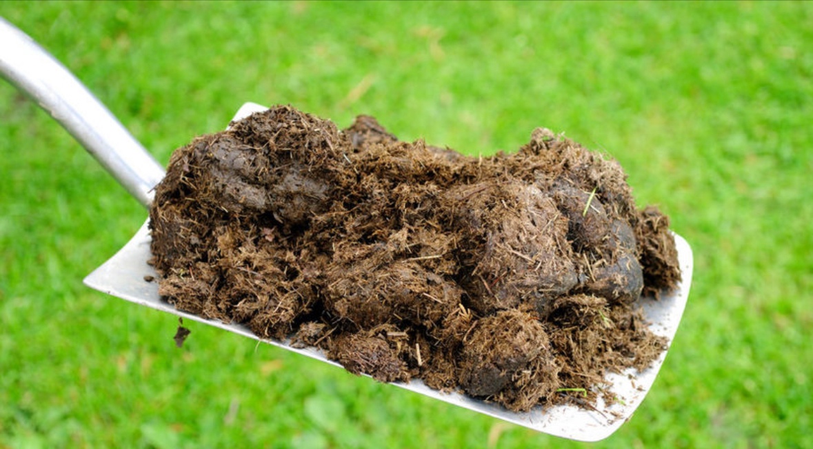 Konský hnoj-zadarmo