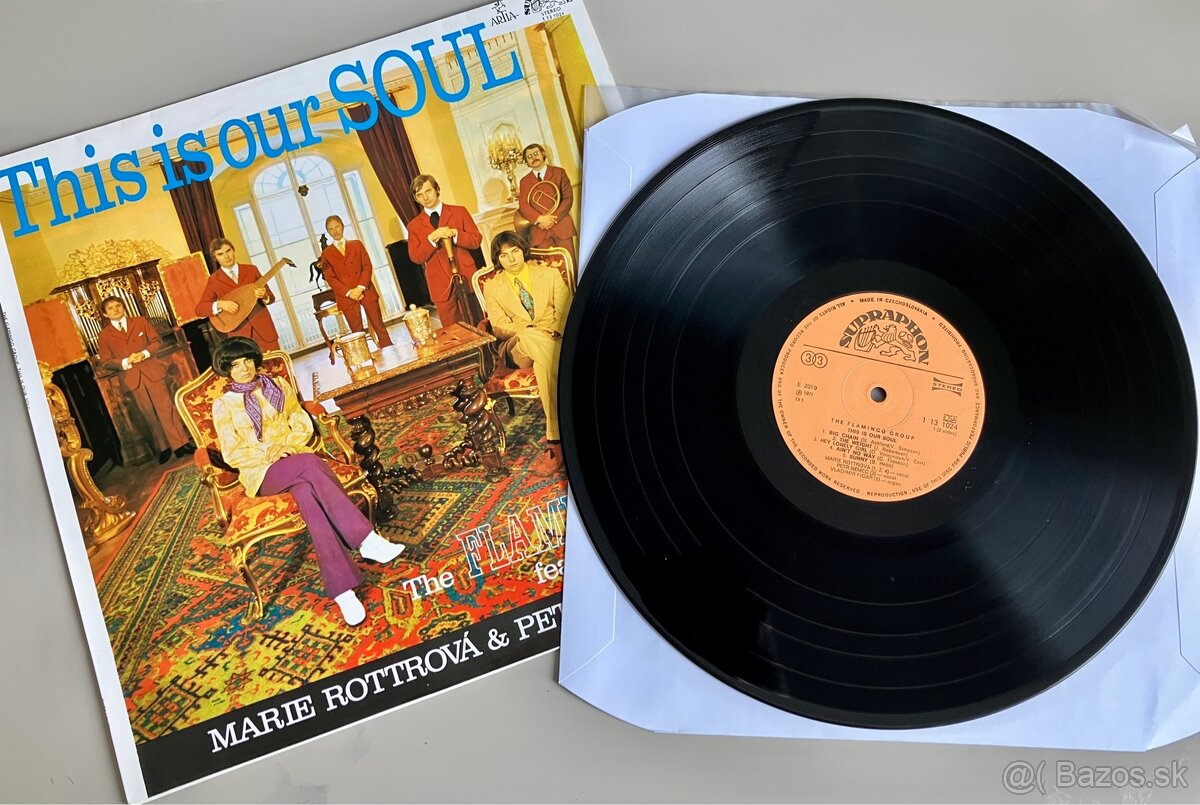 LP The Flamingo Group - This Is Our Soul