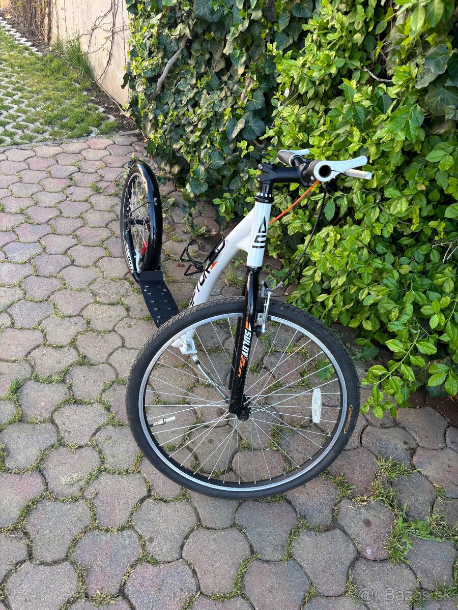Kolobežka sulow raptor