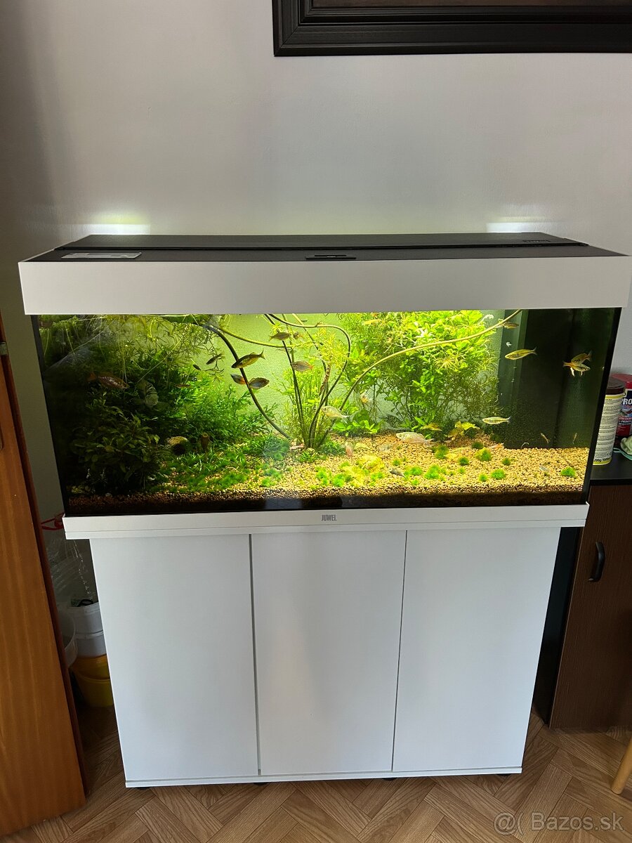 PREDÁM AKVÁRIUM KOMPLET AJ OSADKOV RÝB