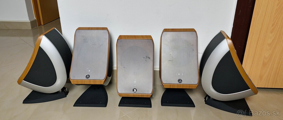 Focal Sib