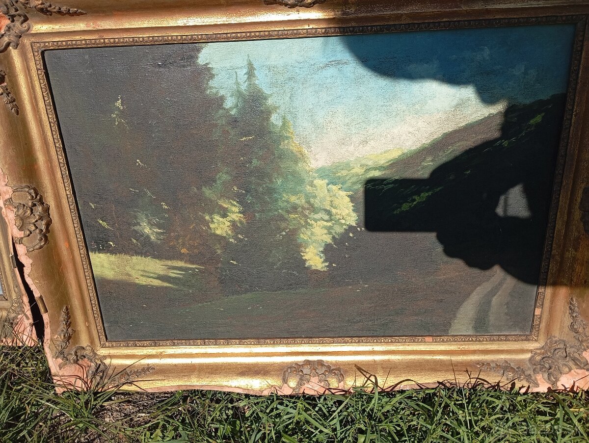 Predám pekné obrazi