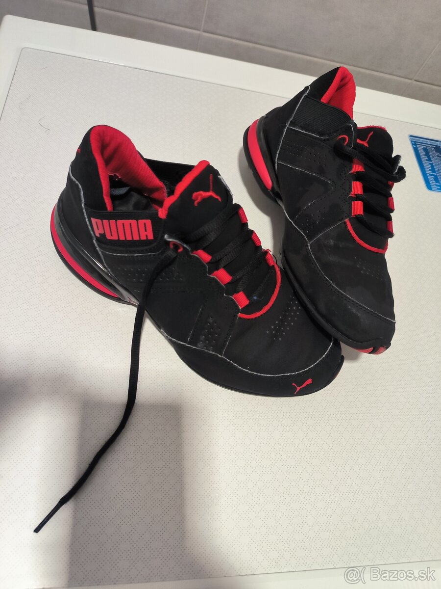 Puma