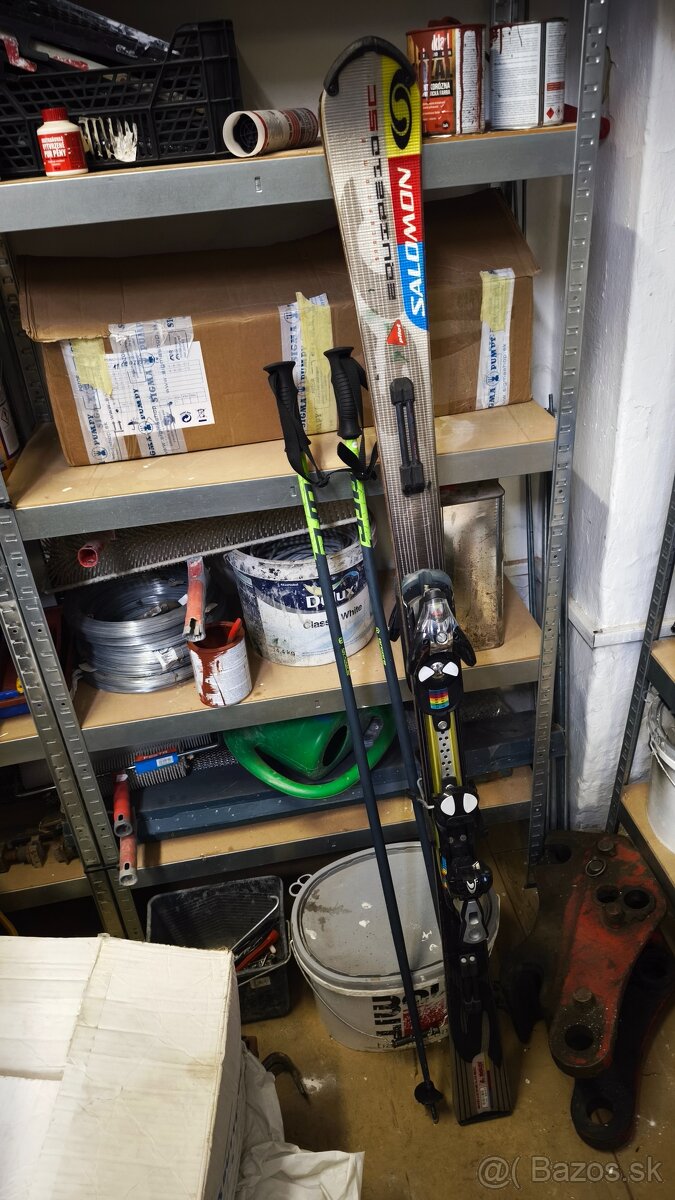 Salomon 165cm