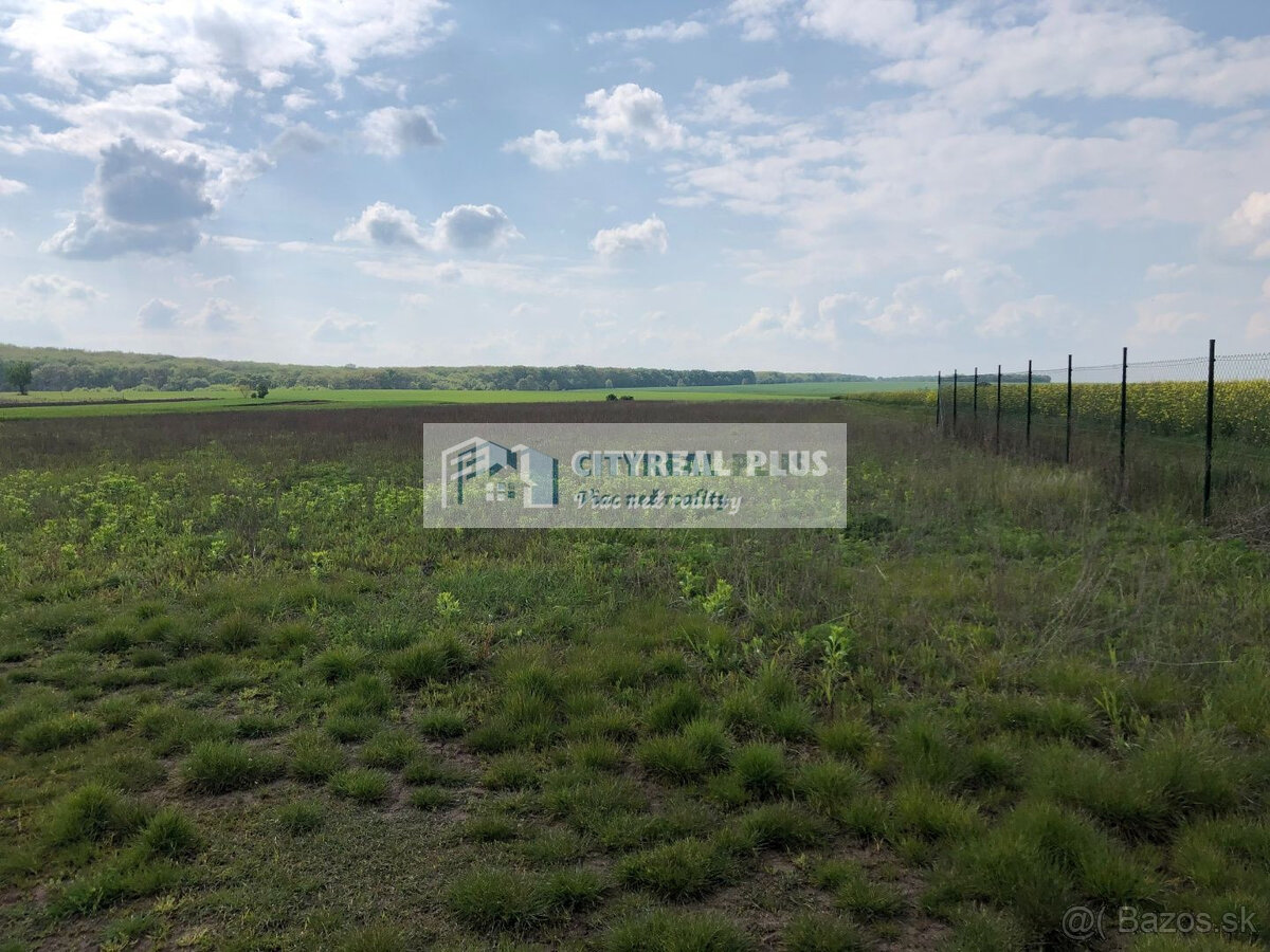 Predám pozemky len 12 km od Nitry