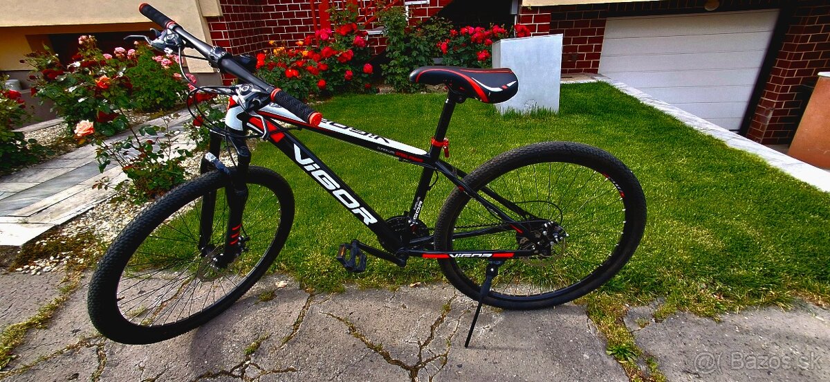 Vigor Grik Mountain Bike