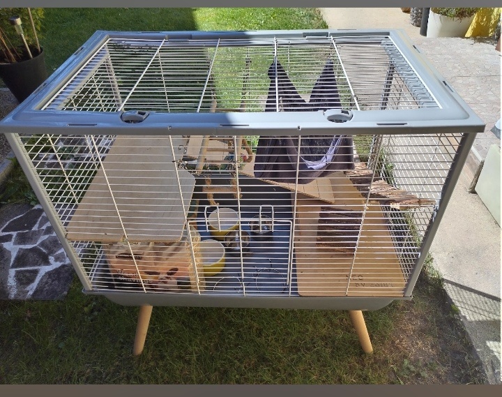 Predám príslušenstvo pre chov potkanov