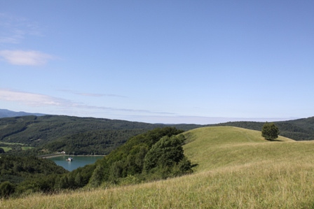 Pozemky - podiely - Veľká Poľana