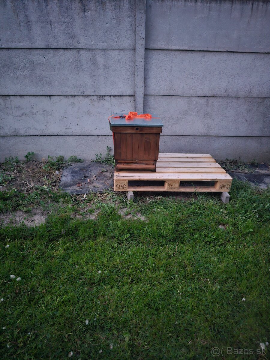 Včeli