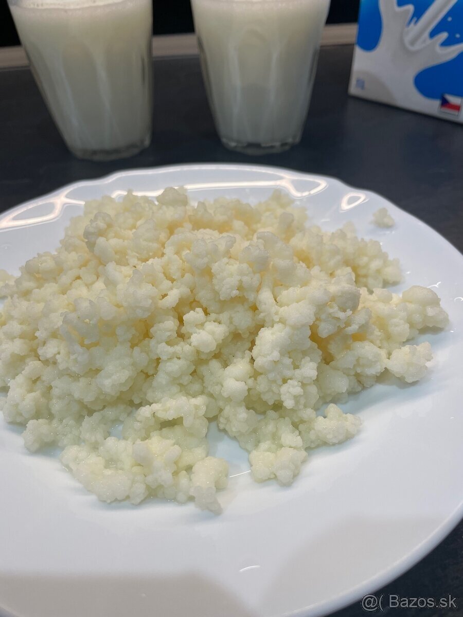Kefírové Zrná (Tibetské hubky)