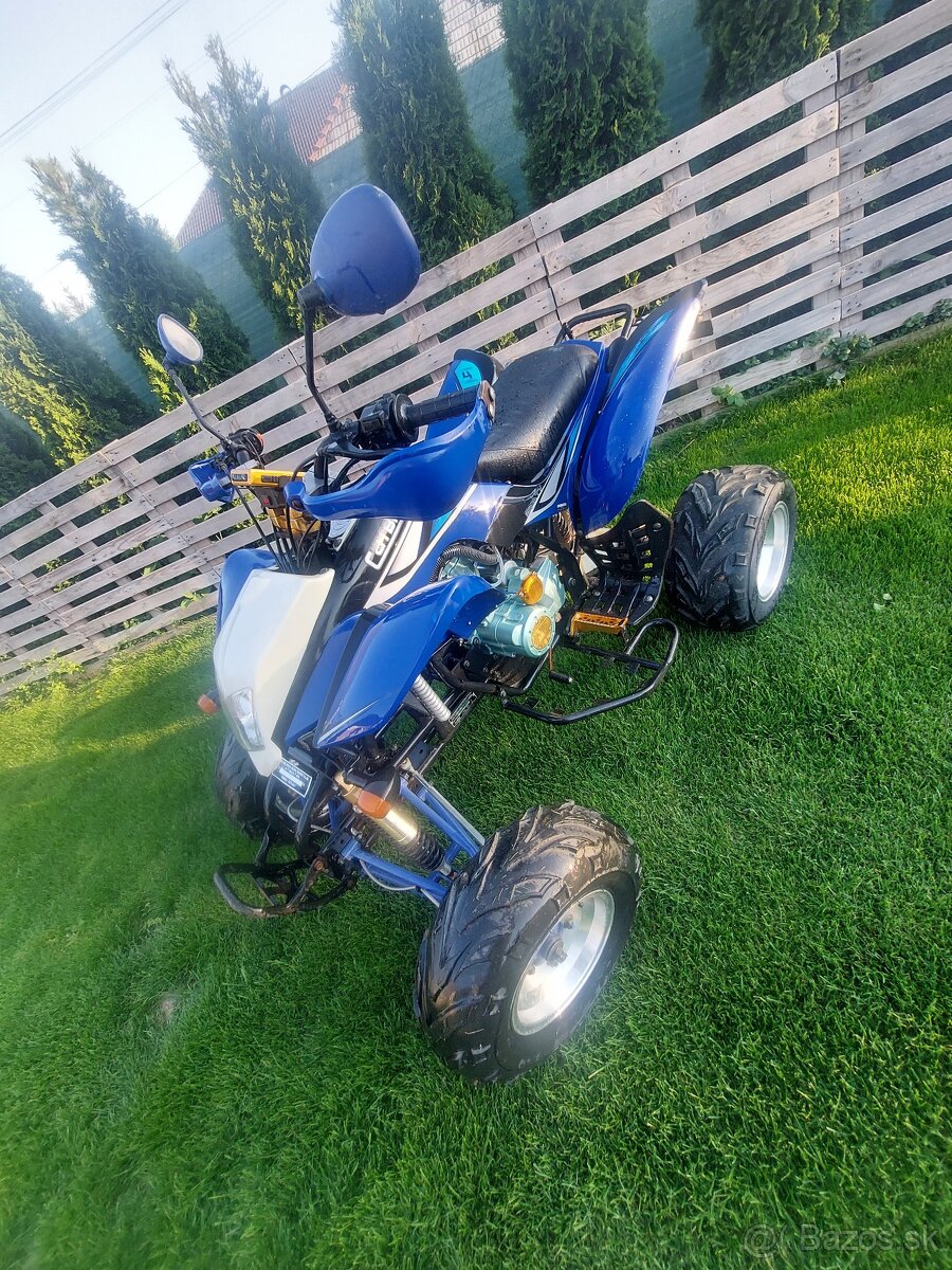 Bashan 250
