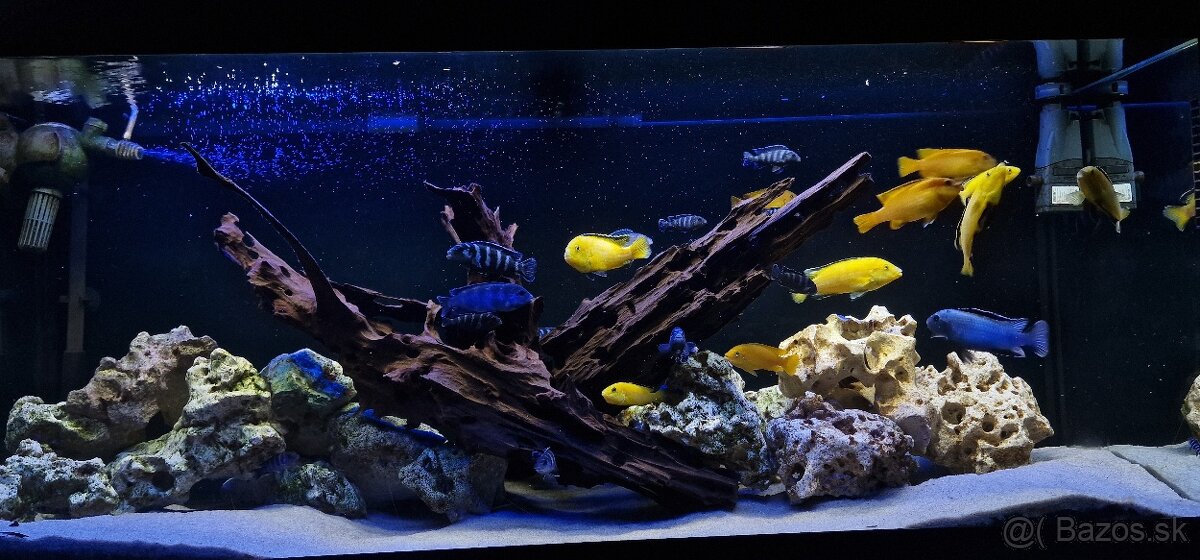 Akvarium Juwel RIO 240L + oase biomaster thermo 850