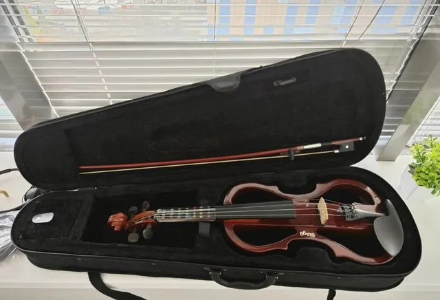 4/4 elektrické husle, Stagg