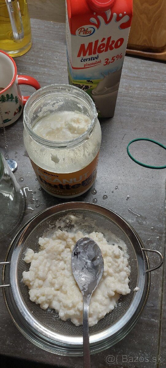 Základ na kefir zadarmo