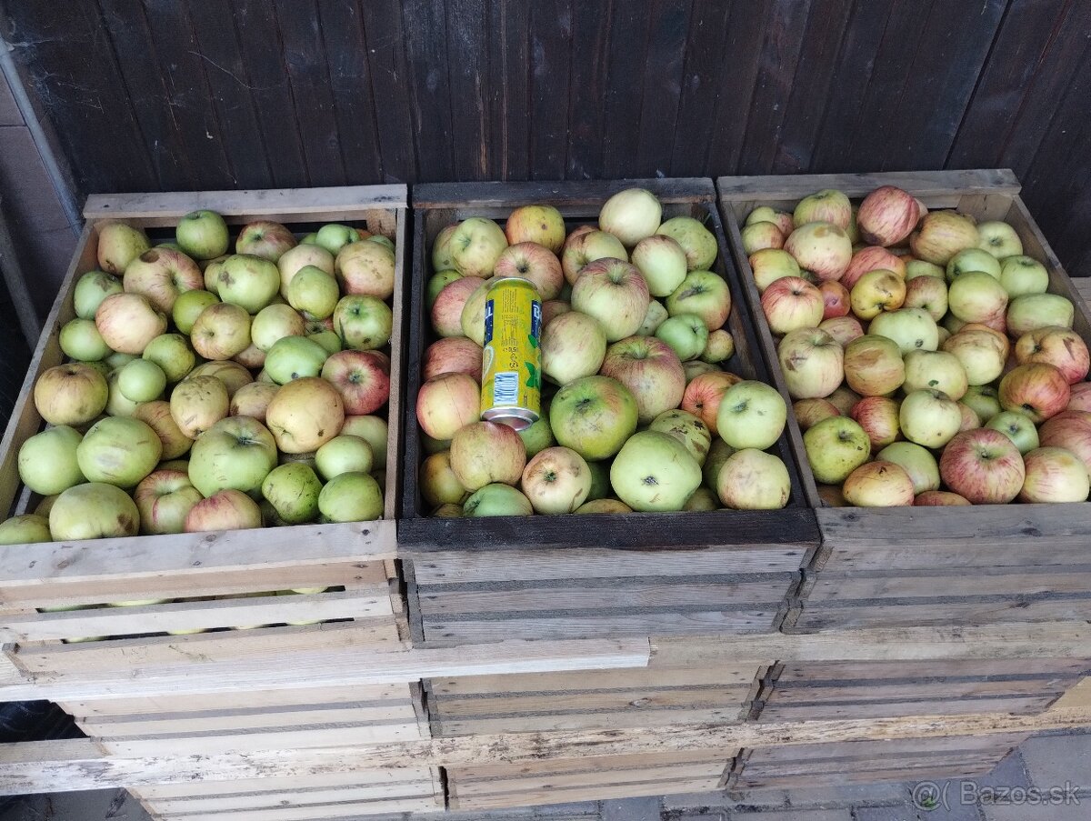 Jablká na kvas nestriekane