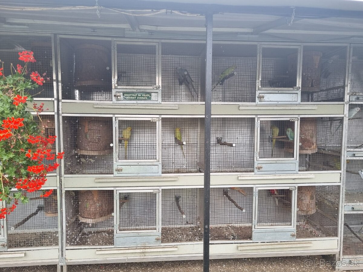 Hlinikové voliéry,klietky pre papagáje