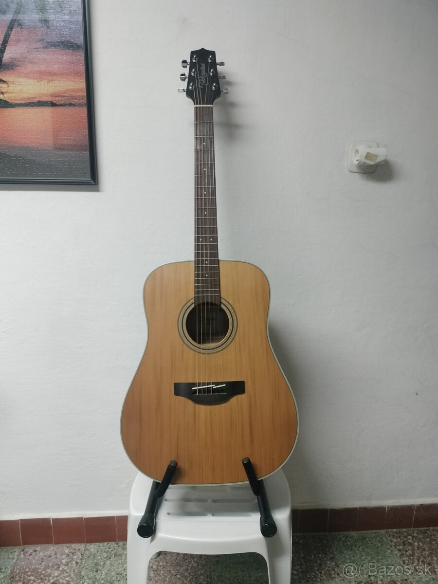 Gitara Takamine GD 20 NS