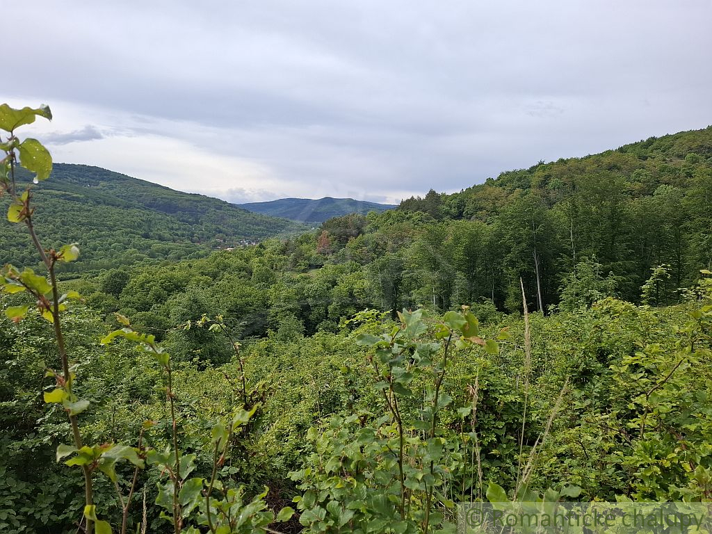 NOVÁ CENA  Rozsiahle lesné pozemky v Podpoľaní