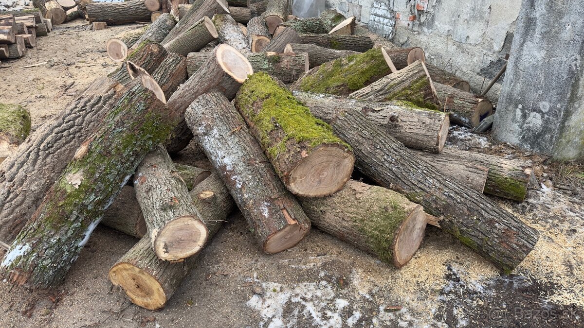 Palivové drevo metrovica dub buk cer