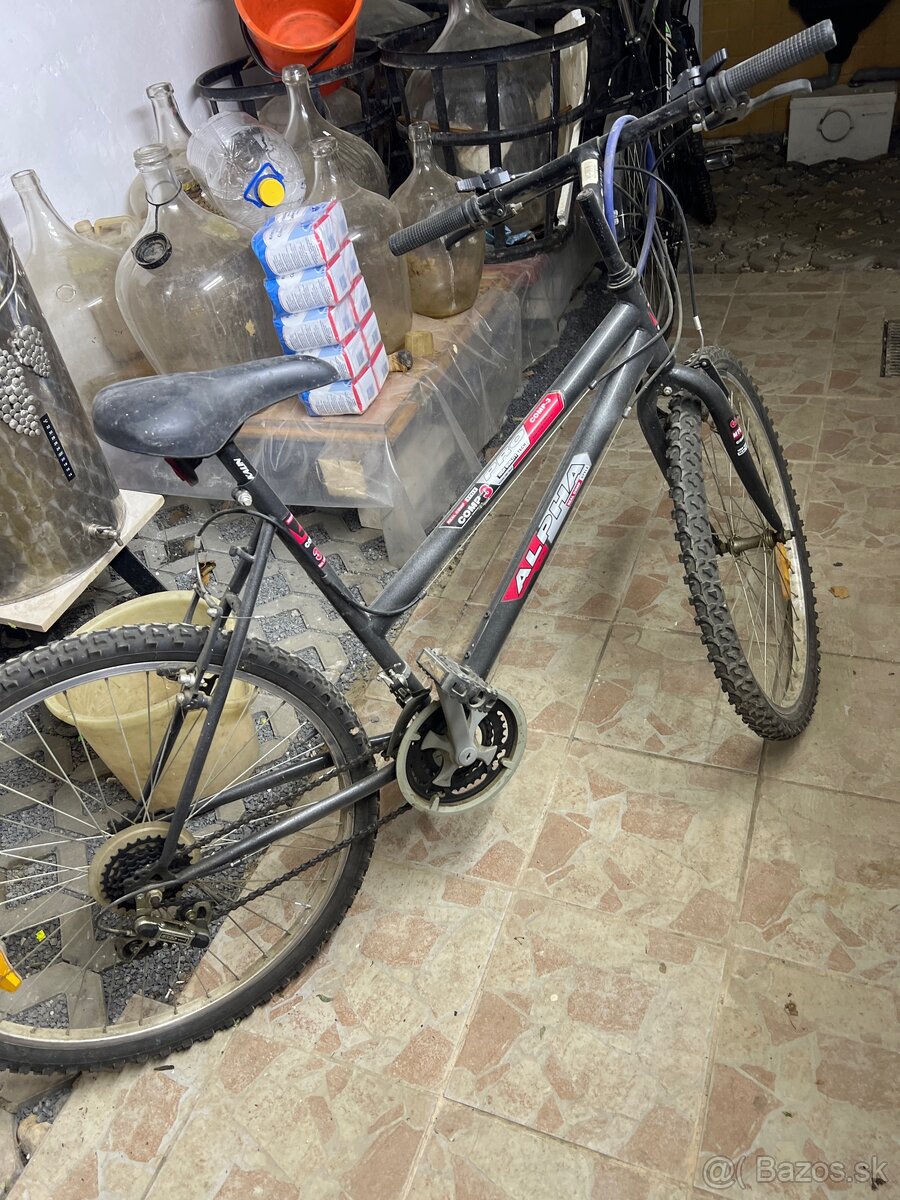 Bicykel Alpha Real Comp Style