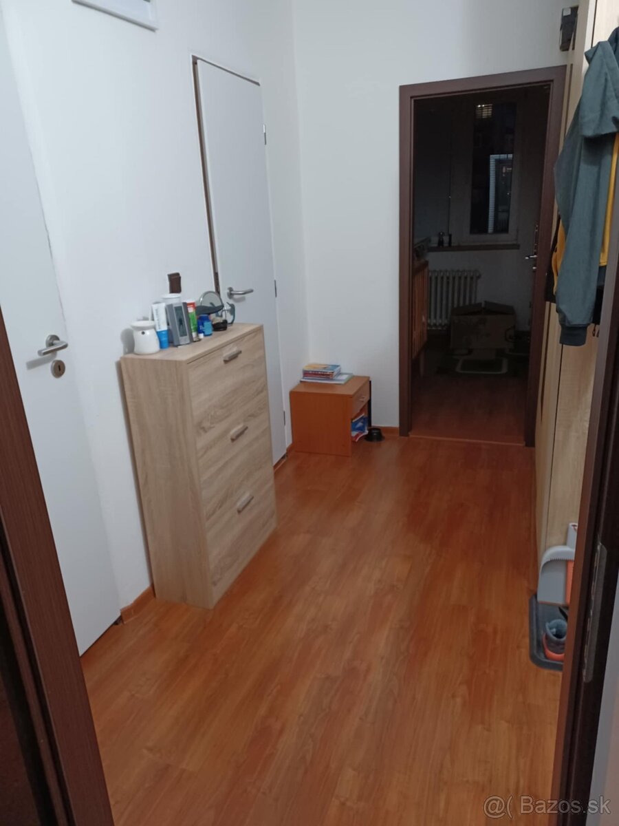 Prenajmem 1,5 izbovy byt