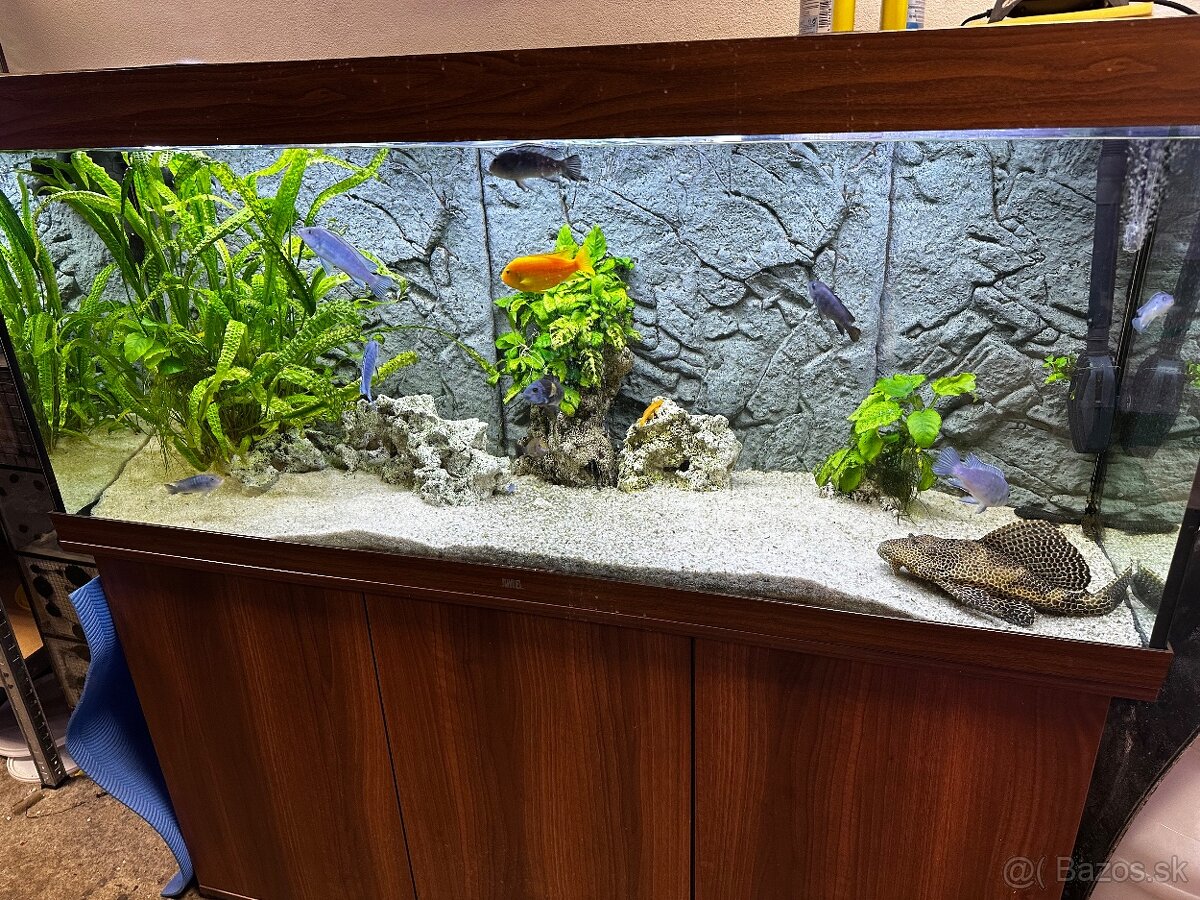 Juwel Akvarium 450L