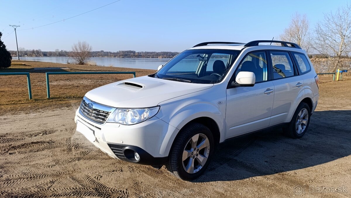 Predam Subaru Forester