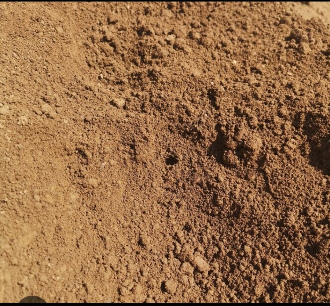 Zemina, ornica