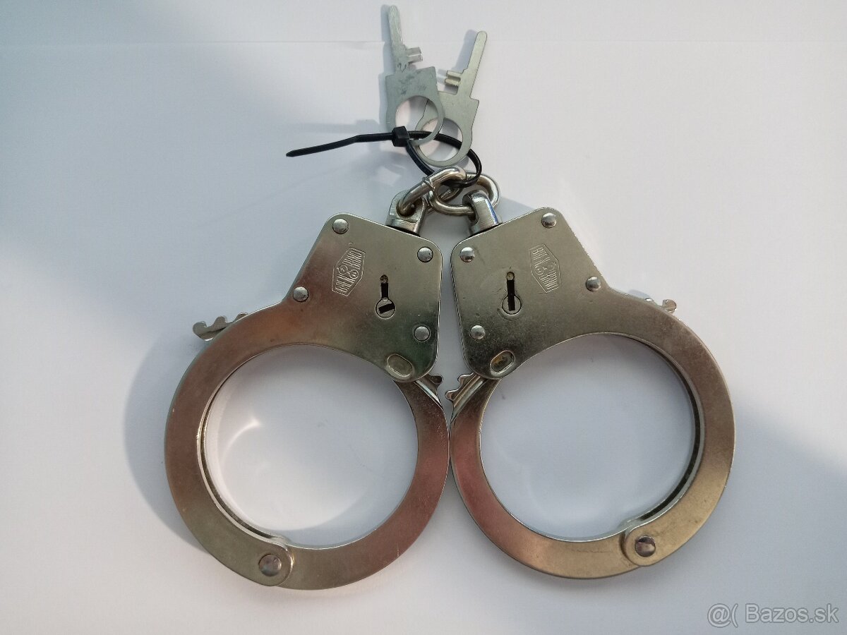 policajne puta