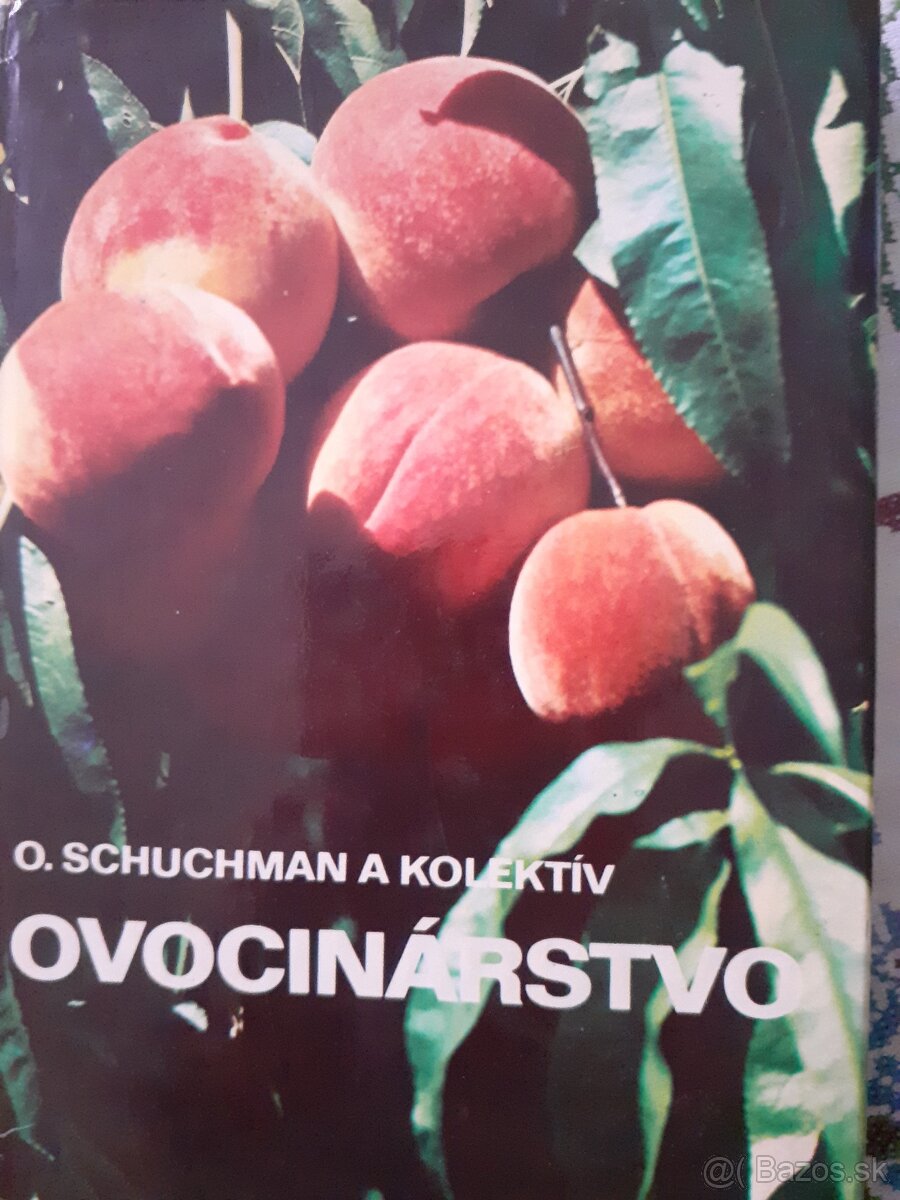 Predám