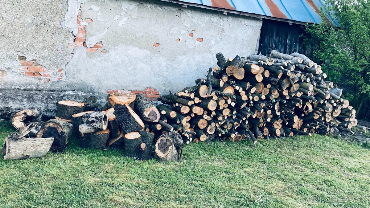 Drevo orech, jabloň, čerešňa