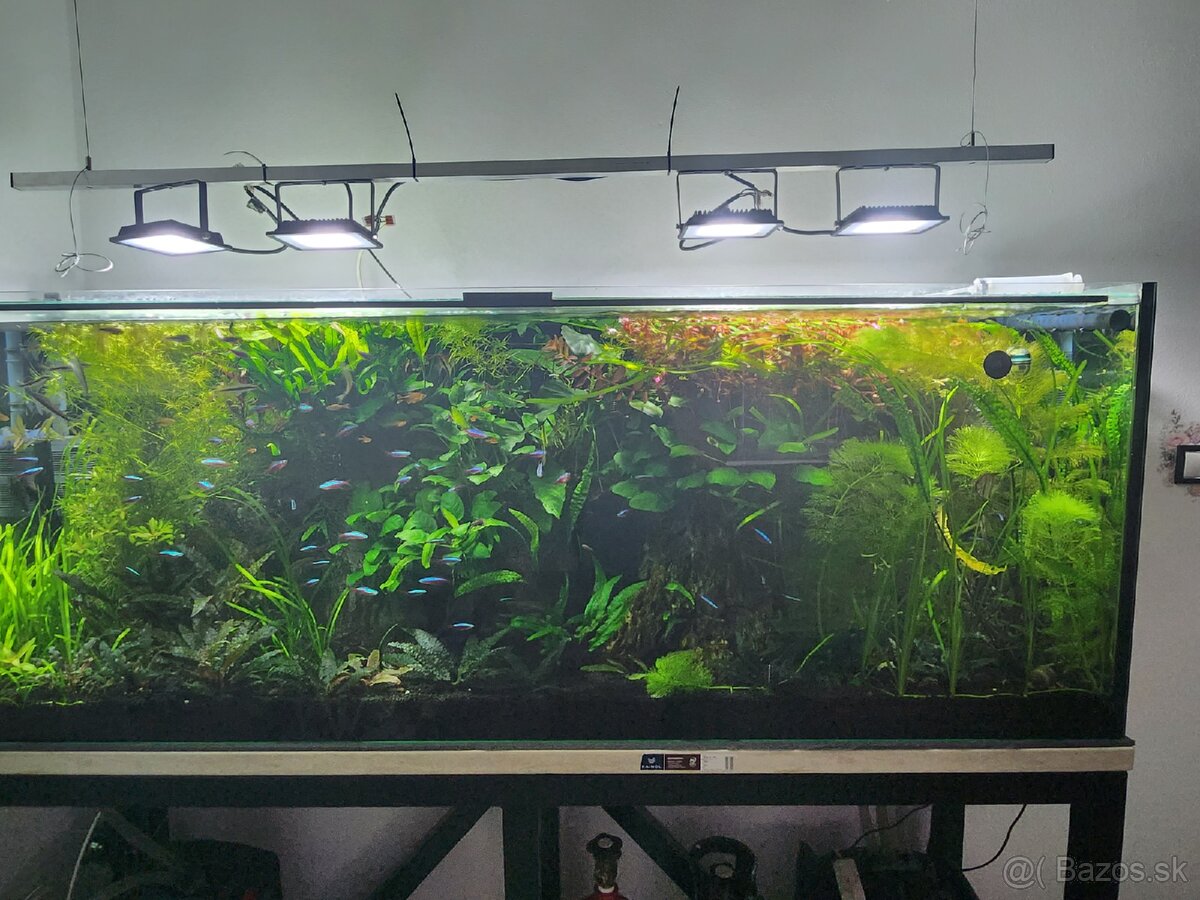 predám akvárium