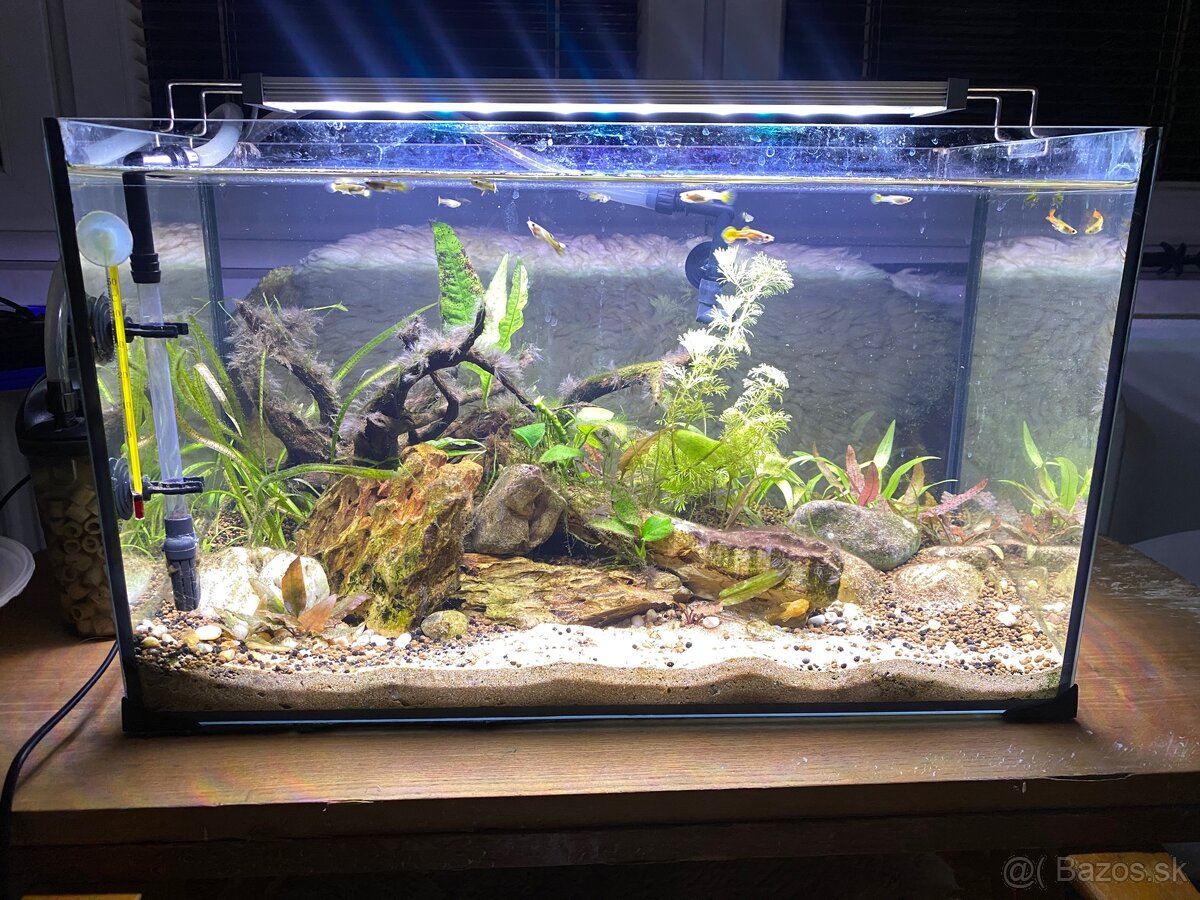 Akvarium 50x30x25